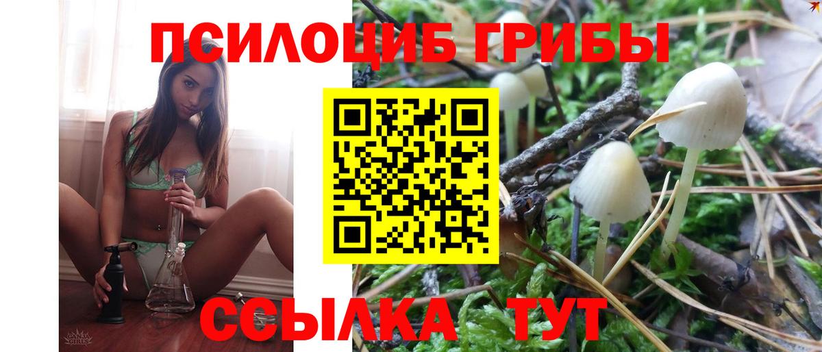 Галлюциногенные грибы мицелий Ишим