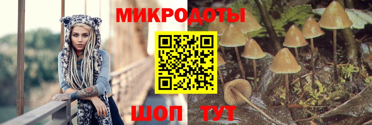 Ишим  Галлюциногенные грибы мицелий  Вход с VPN  Галлюциногенные грибы Psilocybine cubensis 